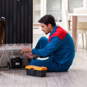 Reparador de frigoríficos AEG en Madrid